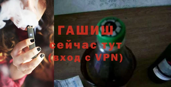 гашик Алексин