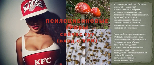 метадон Алексеевка